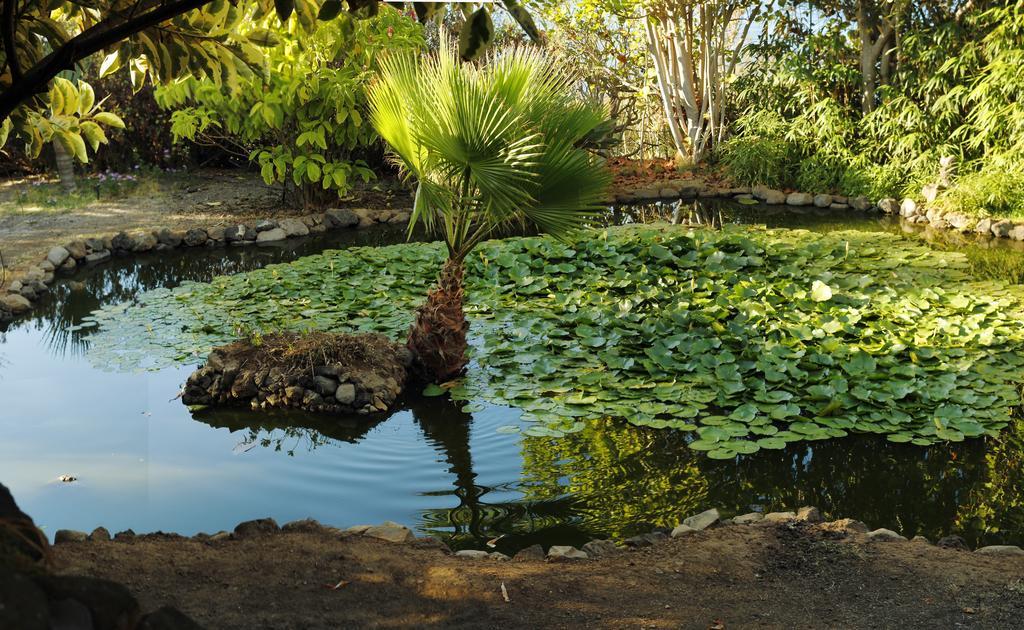 Apartments Finca El Rincon ลาโอโรตาวา ภายนอก รูปภาพ